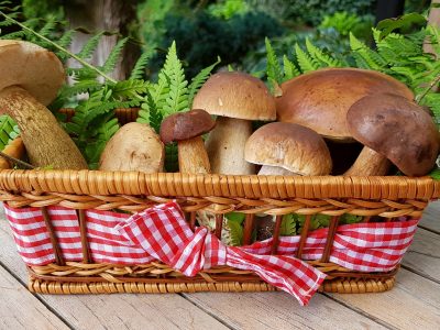Are mushrooms low carb and keto friendly?