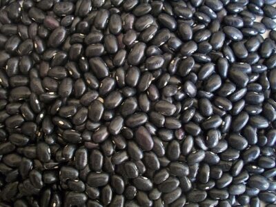 USDA study shows Black Turtle Beans help alleviate insulin resistance
